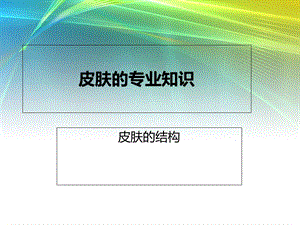 美容行业-皮肤的专业知识.ppt