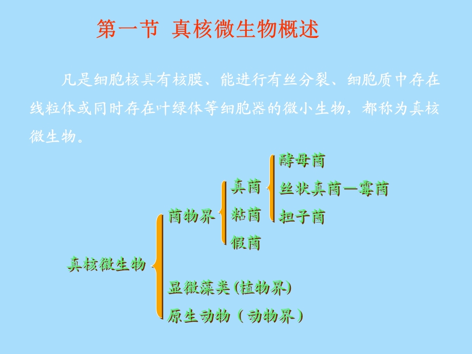 真核微生物概述.ppt_第1页