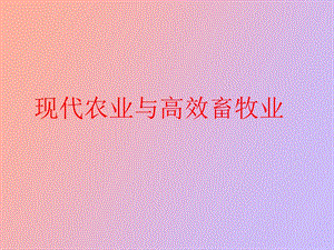 现代农业与高效畜牧业.ppt