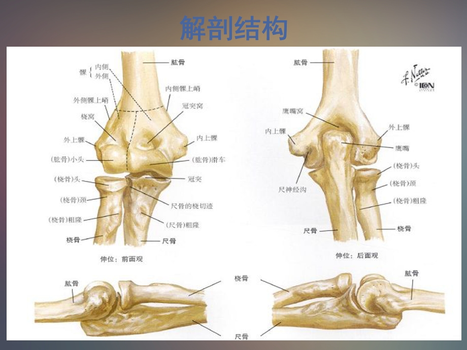 肘关节的X线常用测量及诊断分析.ppt_第2页