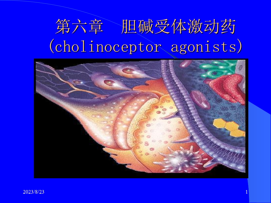 胆碱受体激动药.ppt_第1页