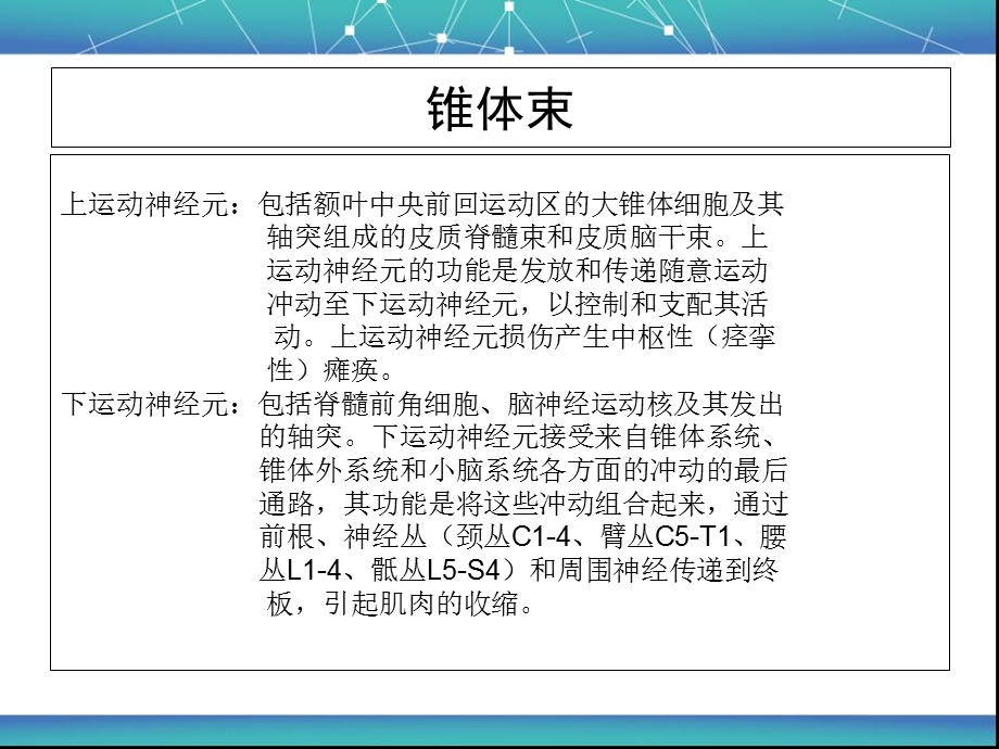 瘫痪的类型及病因.ppt_第3页