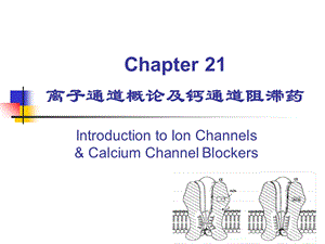 离子通道概论及钙通道阻滞药.ppt