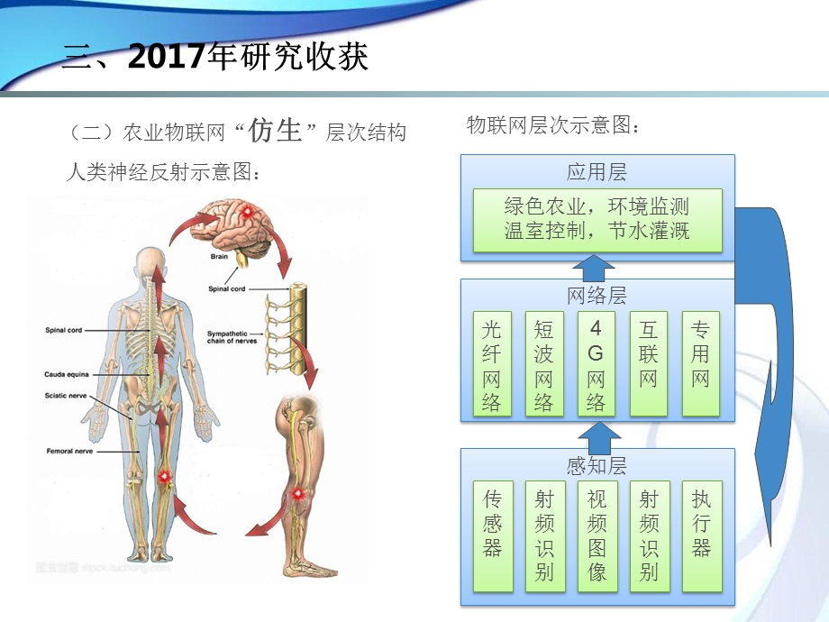 物联网2017年终总结.ppt_第3页