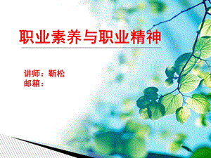 职业素养与职业精神.ppt