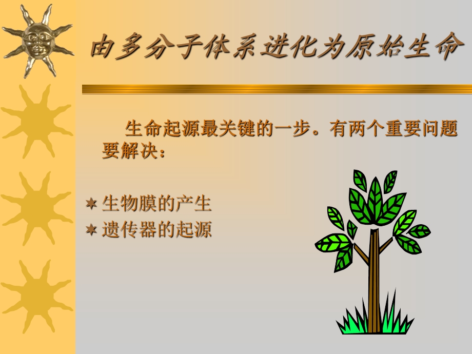 真核细胞生物膜系统.ppt_第3页