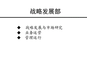 战略部流程last.ppt