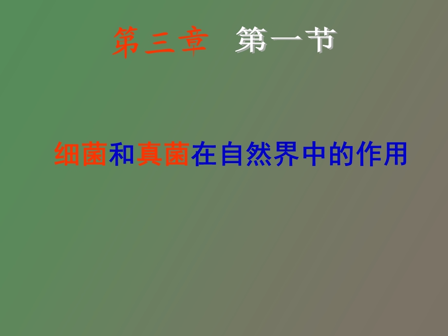 自然界中细菌和真菌的作用.ppt_第2页