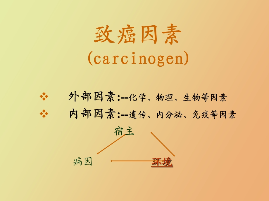 肿瘤烧伤患者的营养浙大.ppt_第2页