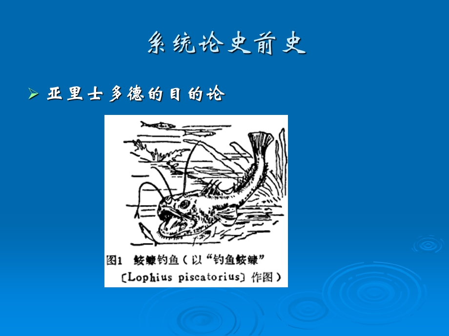 自然辩证法第二讲系统论的自然观.ppt_第2页