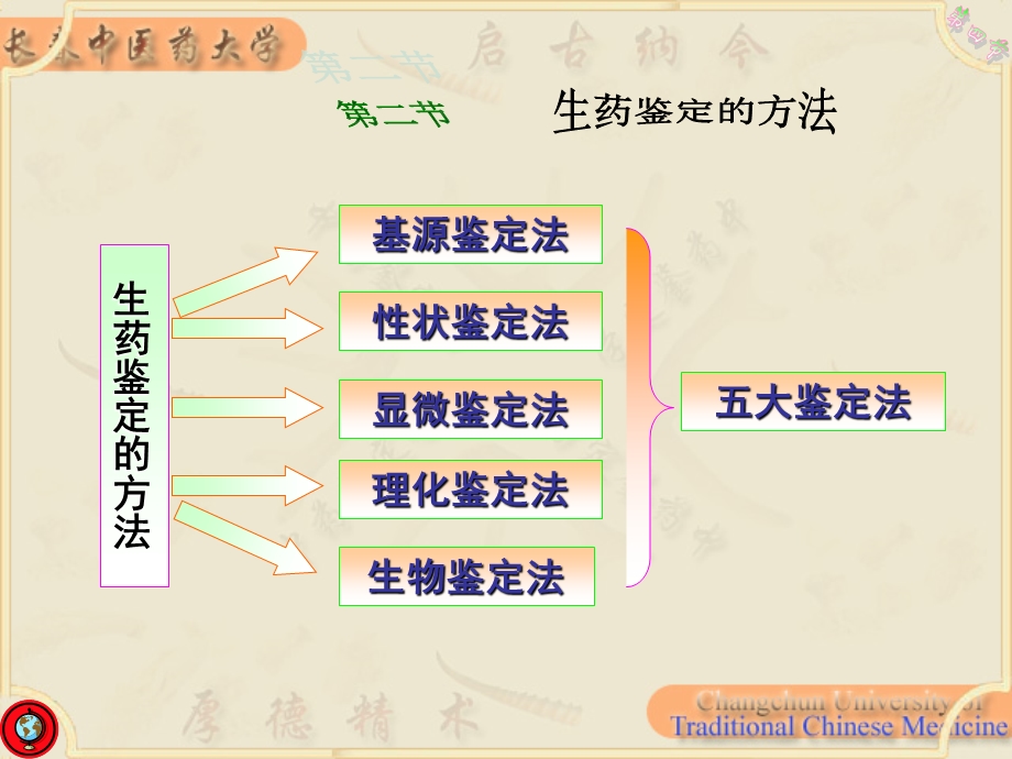 生药的鉴定方法-资源与质量标准.ppt_第3页