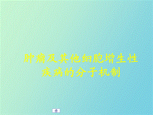 肿瘤及其他细胞增生性.ppt