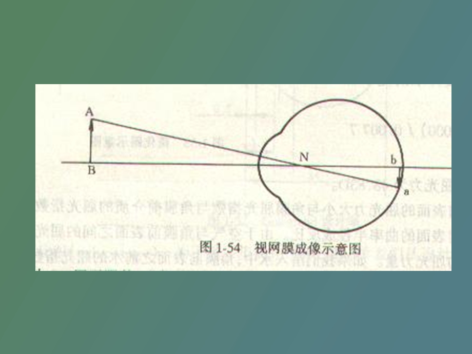 眼的屈光及调节及老视病人的护理.ppt_第3页