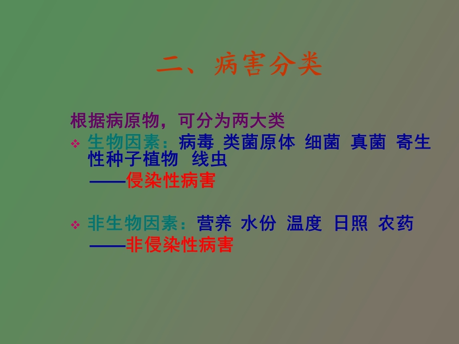 烟草病害的防治技术.ppt_第3页