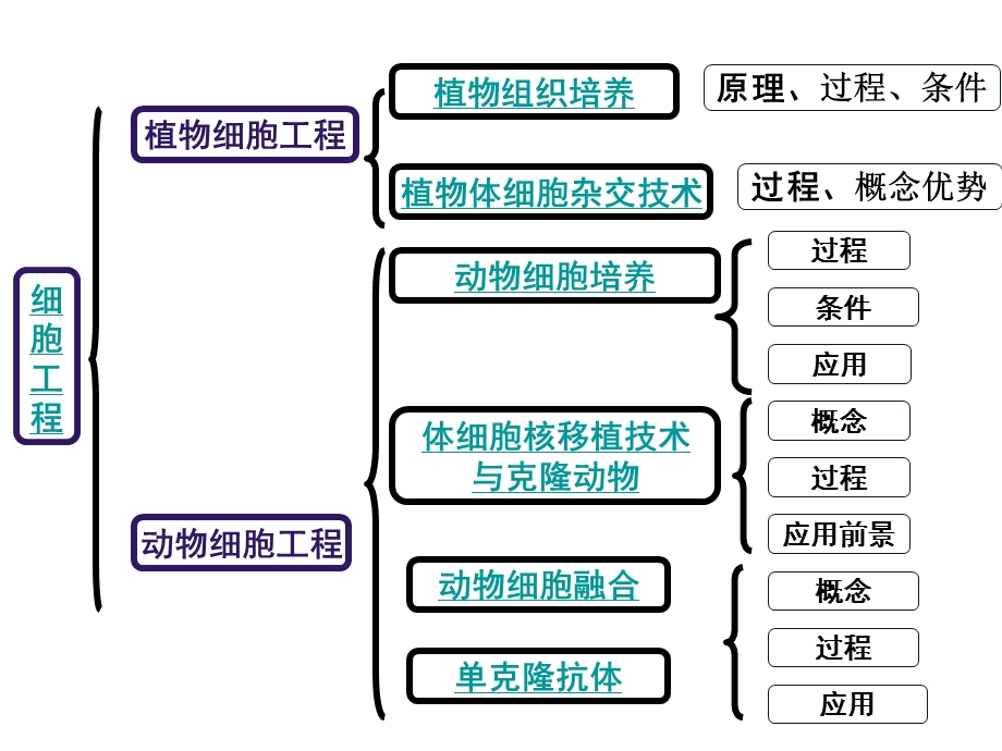 现代生物科技专题复习.ppt_第3页