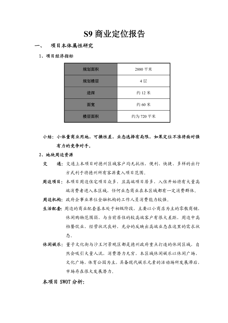 商业定位报告(销售).doc_第1页