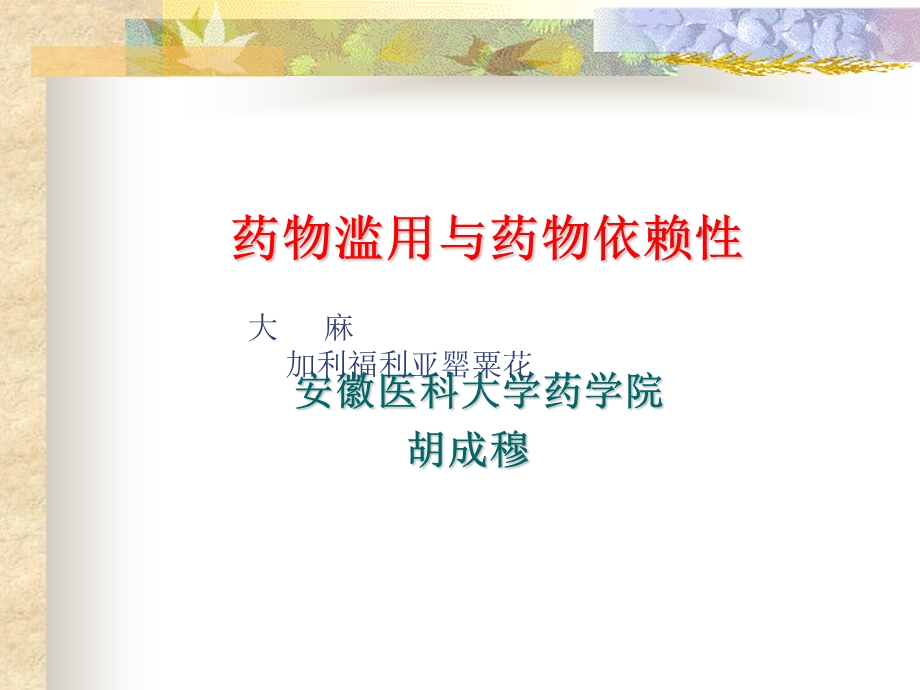 药物滥用与药物依赖性.ppt_第1页