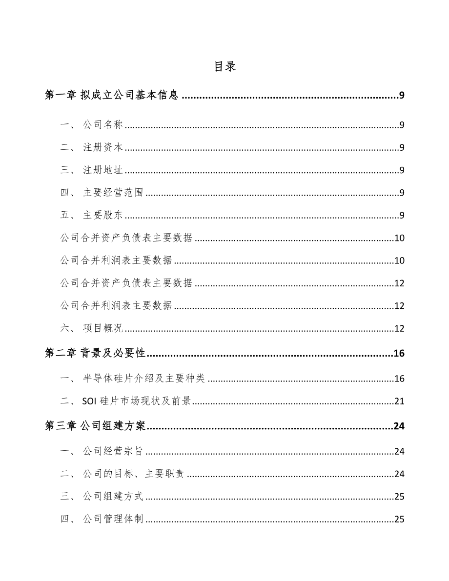 唐山关于成立半导体硅片公司可行性研究报告.docx_第2页