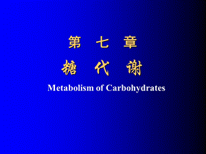 生物化学第五章糖代谢.ppt