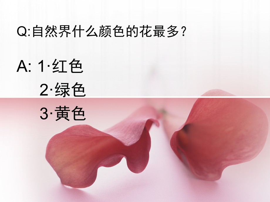 自然界中的花-小知识.ppt_第2页