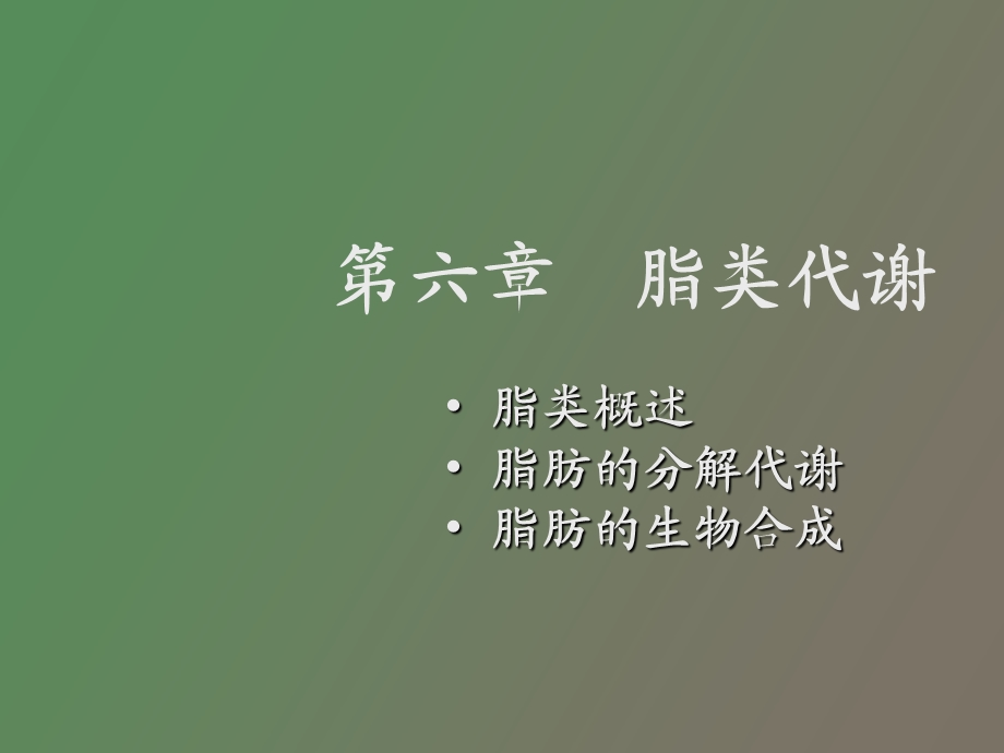 脂类代谢生物化学.ppt_第1页