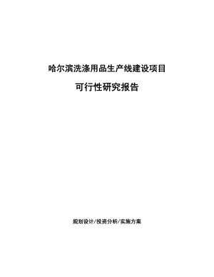 哈尔滨洗涤用品生产线建设项目可行性研究报告.docx