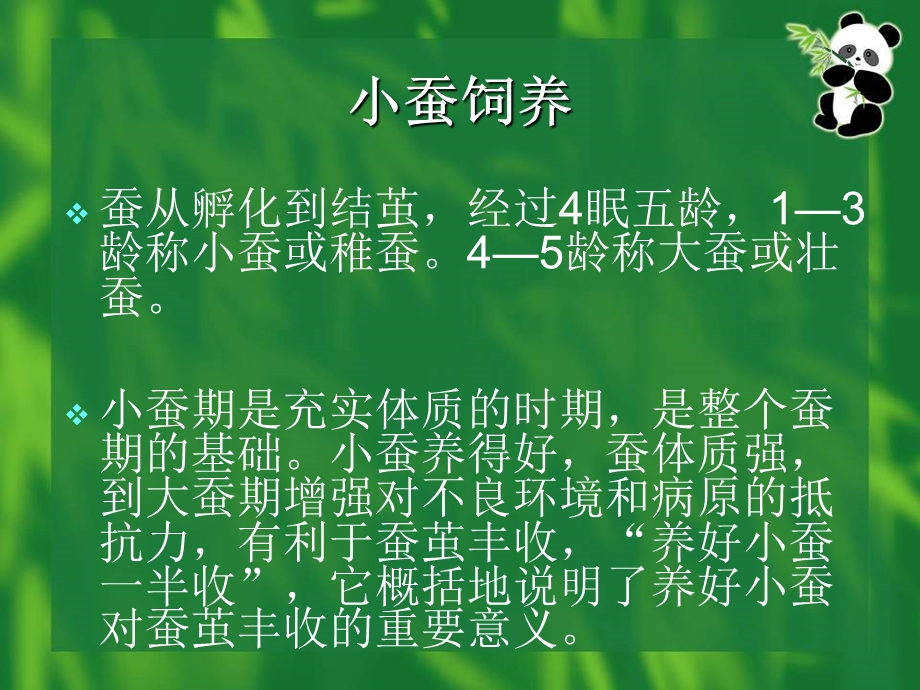 沾益县栽桑养蚕技术.ppt_第3页