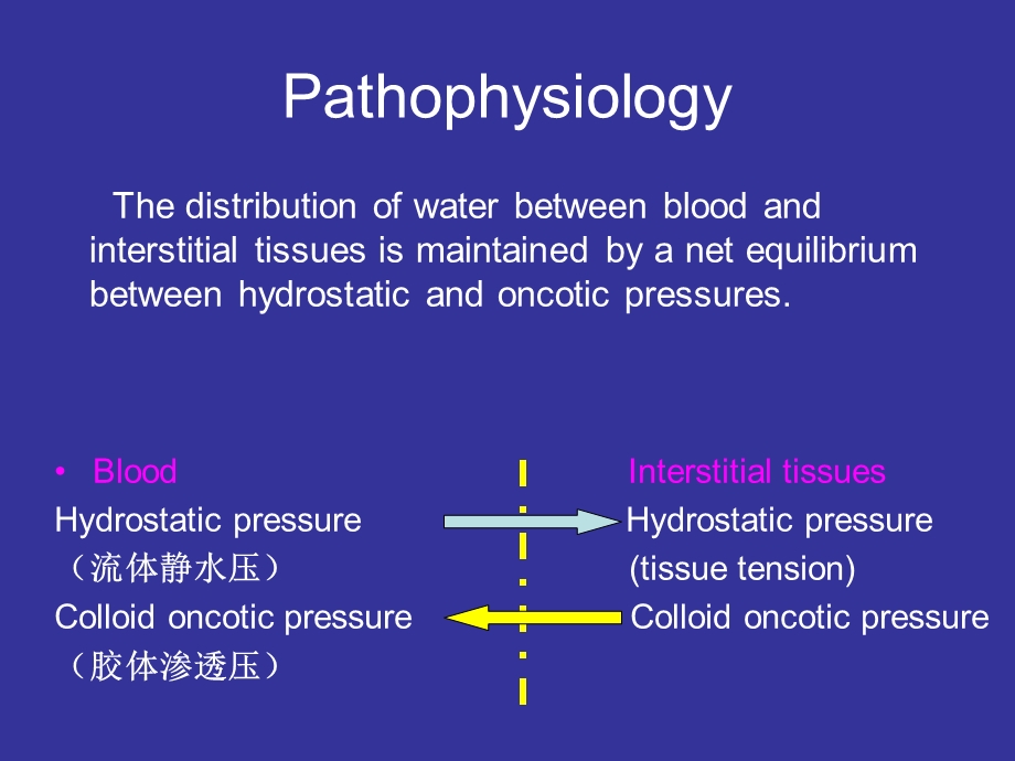 edema(水肿) ppt课件.ppt_第2页