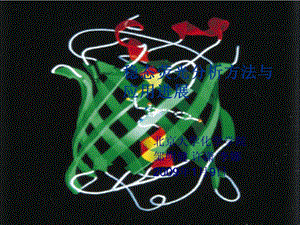 稳态荧光分析方法与应用进展.ppt