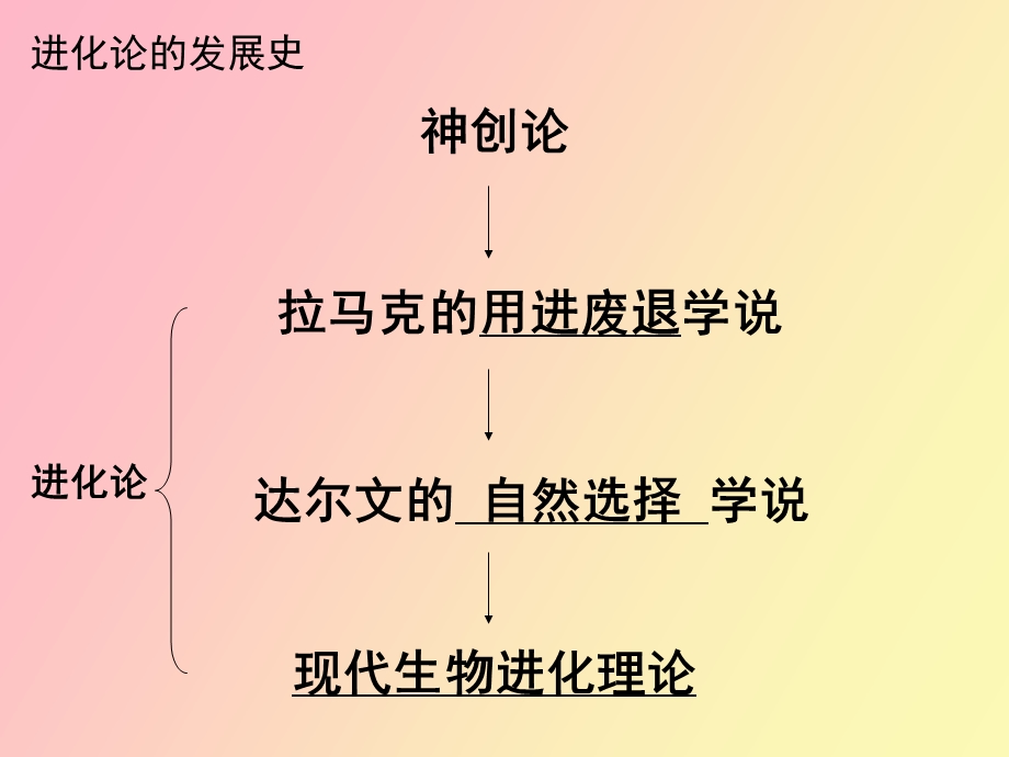 现代生物进化理论内容.ppt_第2页