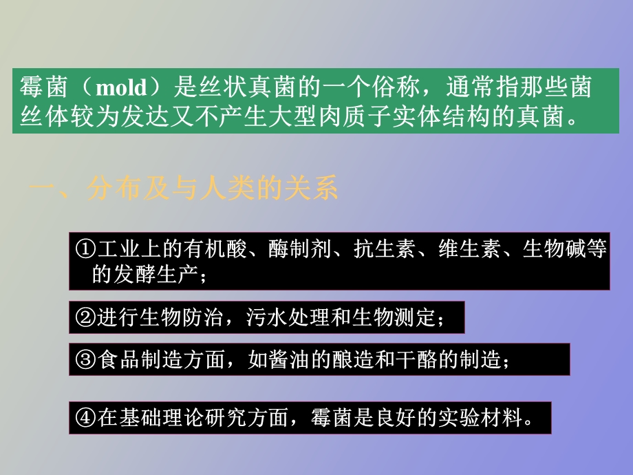 真核微生物形态构造b.ppt_第2页