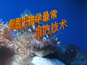 细胞生物学技术.ppt