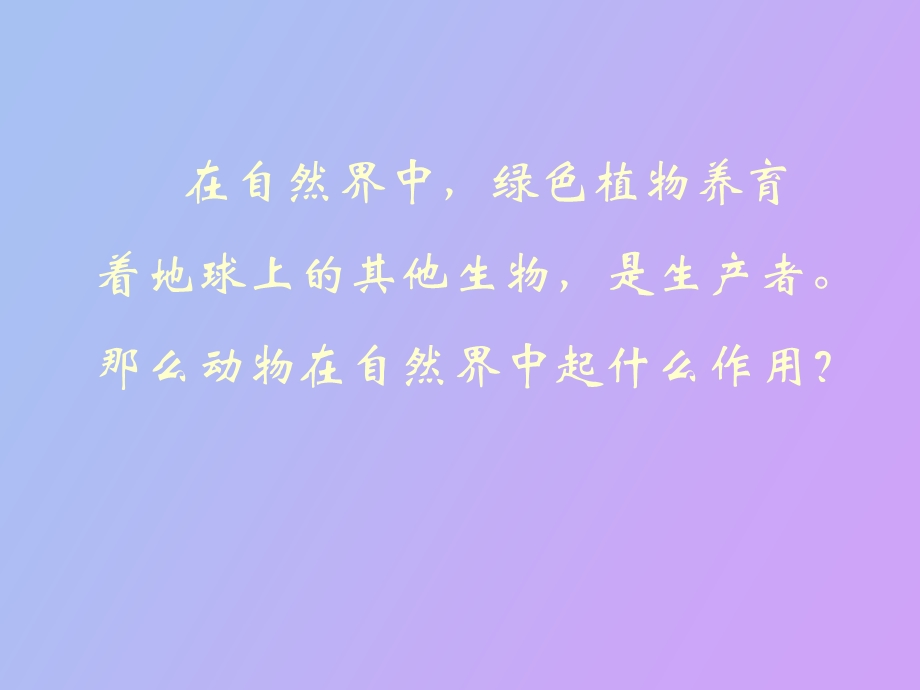 自然界中的动物.ppt_第3页