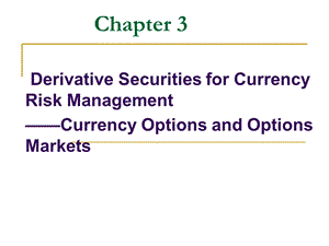 用于汇率风险管理的衍生产品：货币期权与期权市场.ppt