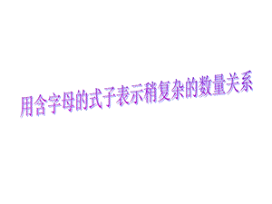 用字母表示较复杂的数量关系.ppt