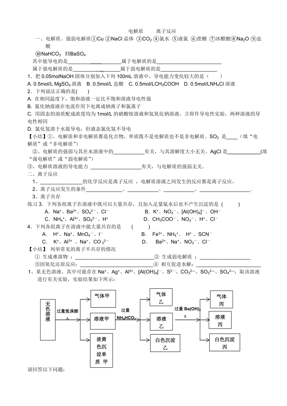 电解质离子反应.doc_第1页