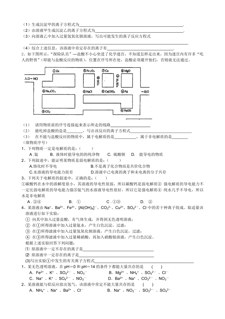 电解质离子反应.doc_第2页