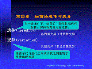 细菌的遗传与变异第五章细菌的感染与免疫.ppt