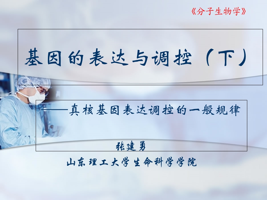 真核基因表达与调控.ppt_第1页