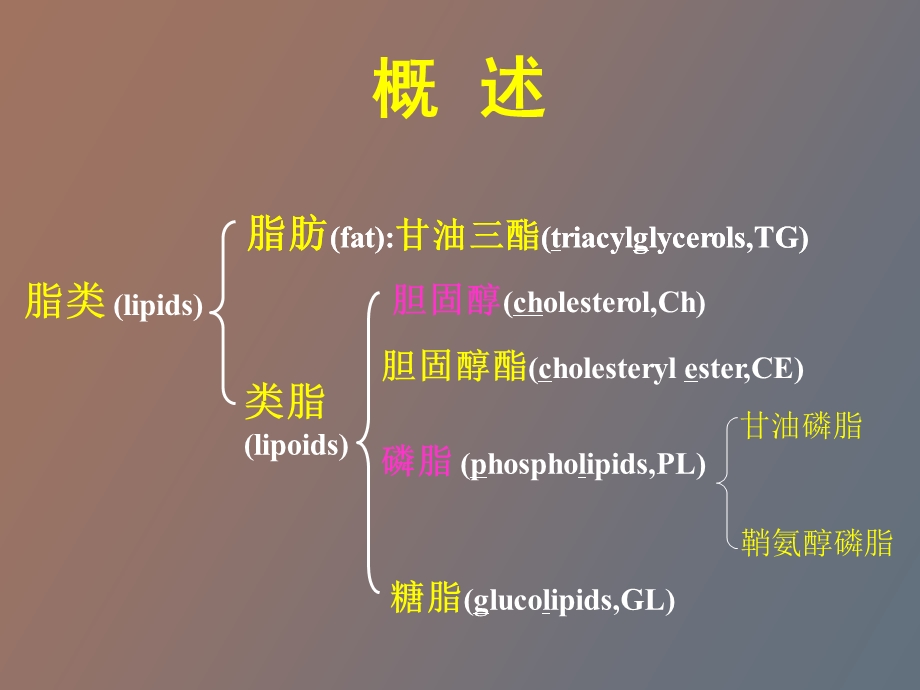 脂类代谢第一节三酰甘油代谢.ppt_第3页