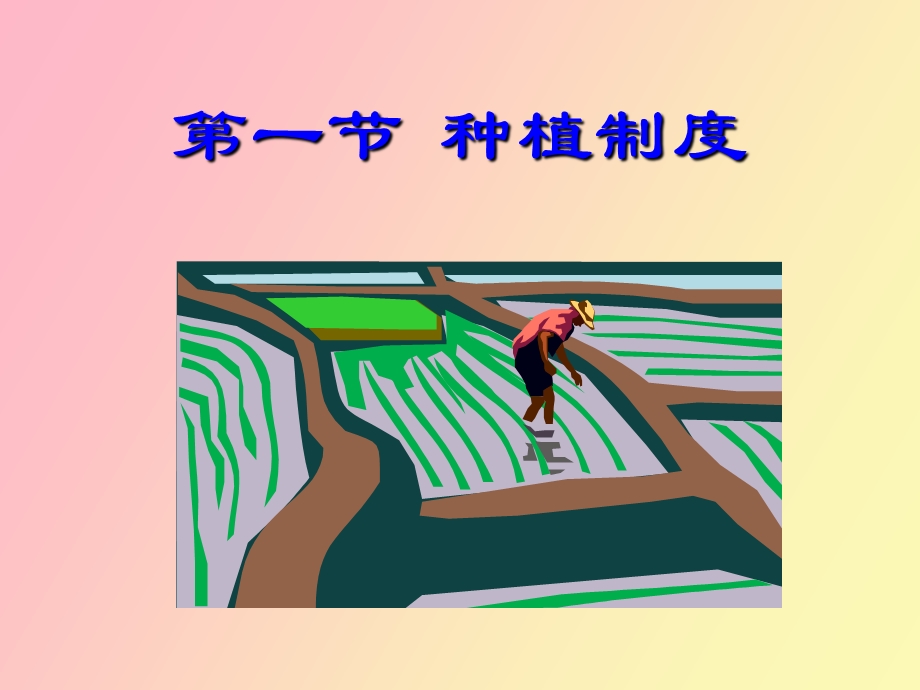 种植制度与耕作制度.ppt_第2页