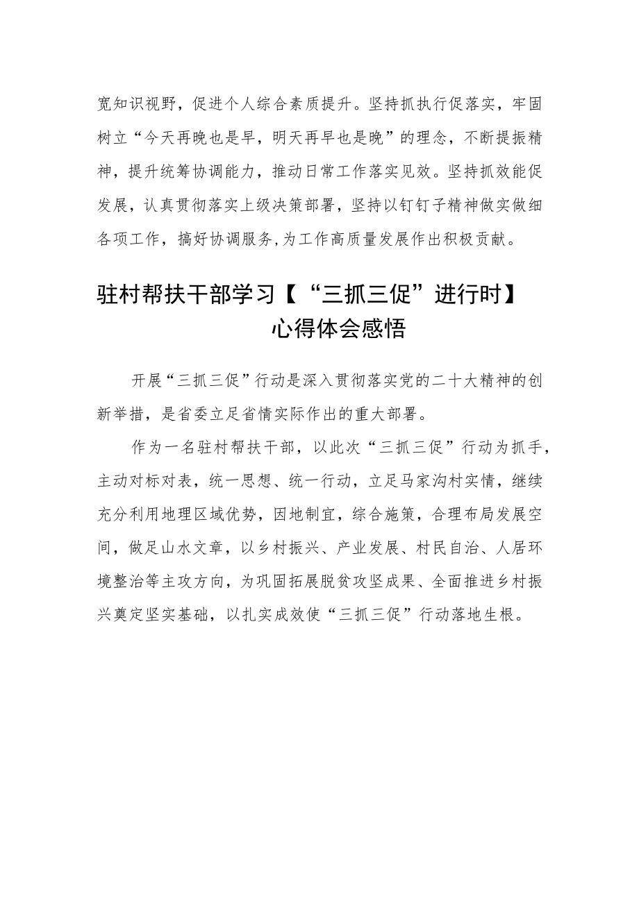 村党支部书记【“三抓三促”行动进行时】心得体会合篇【三篇】.docx_第2页