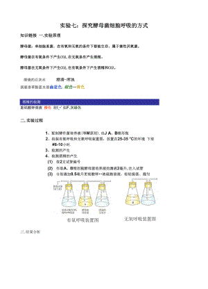 专题07 探究酵母菌细胞呼吸的方式.docx