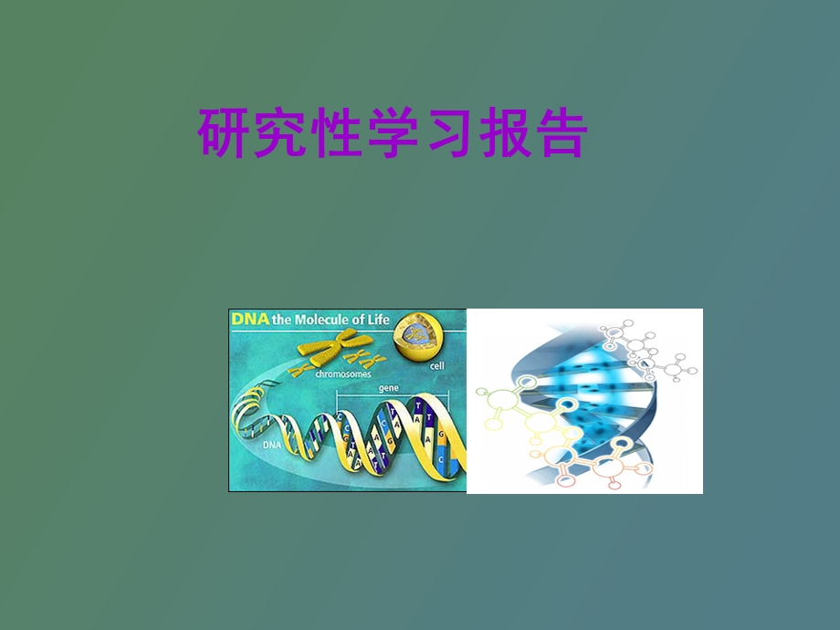 研究性学习报告.ppt_第1页