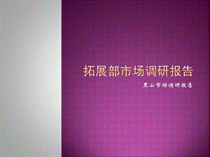 辽宁锦州黑山广场项目拓展部市场调研报告黑山市场调研部 30页.ppt