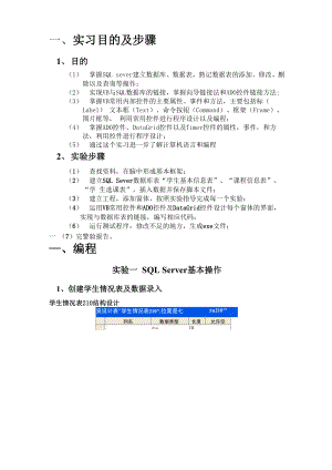 《面向对象程序设计》实习报告.docx