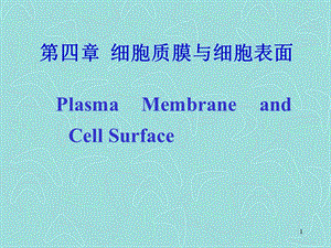 细胞生物学：第4章-1细胞膜与表面.ppt