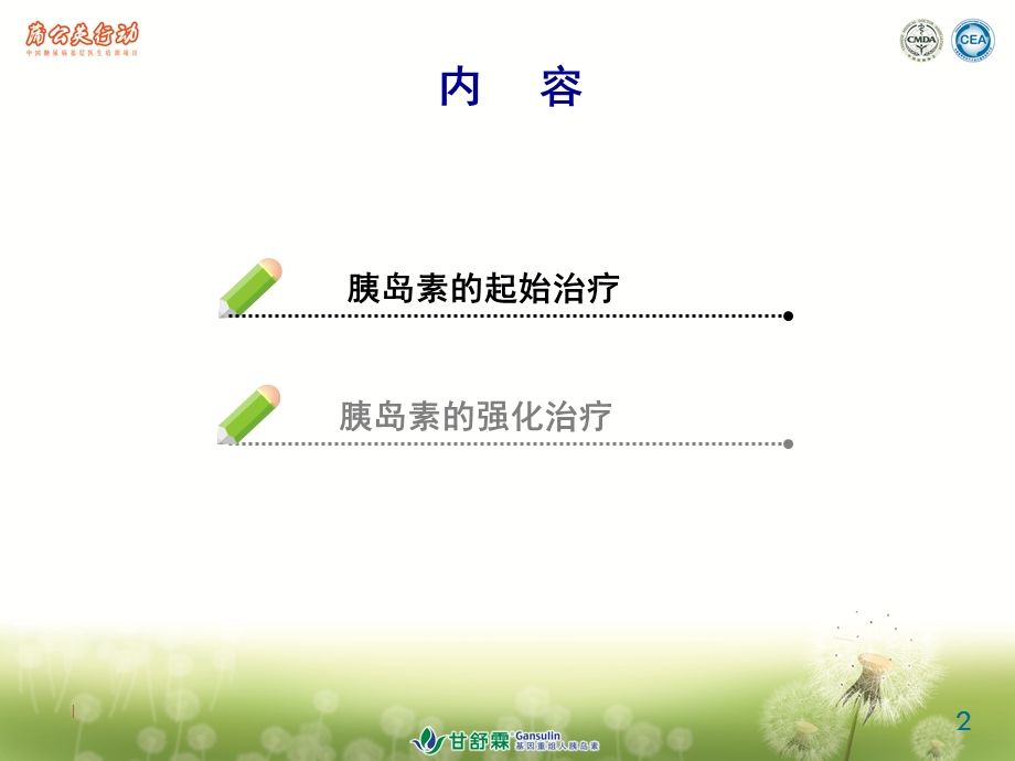 胰岛素的起始与强化治疗.ppt_第2页