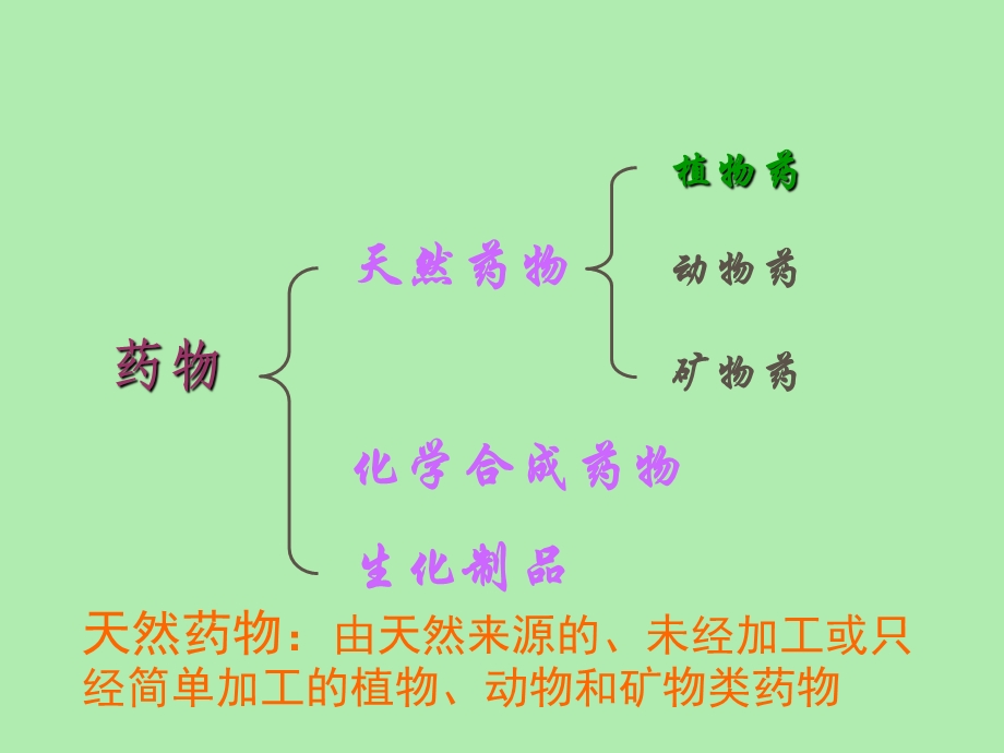 药用植物学基础.ppt_第3页