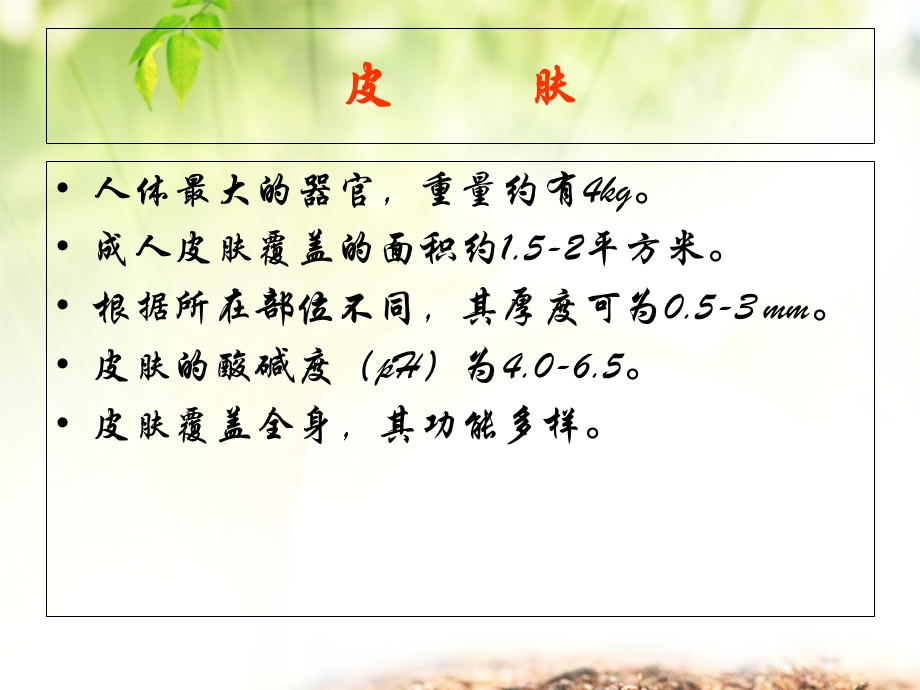 脆弱皮肤的评估与护理.ppt_第3页